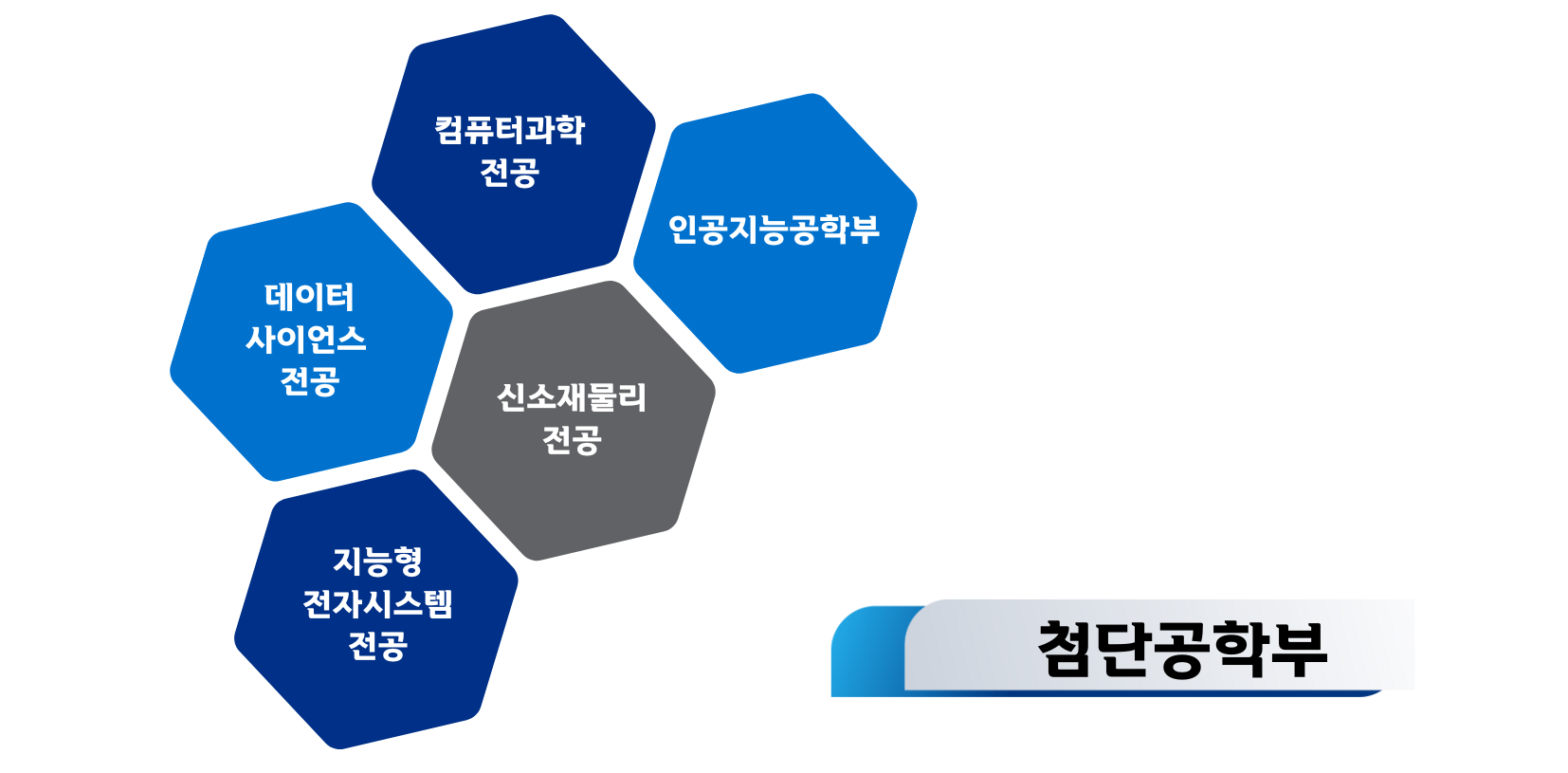 홈페이지 학사정보 교육체계